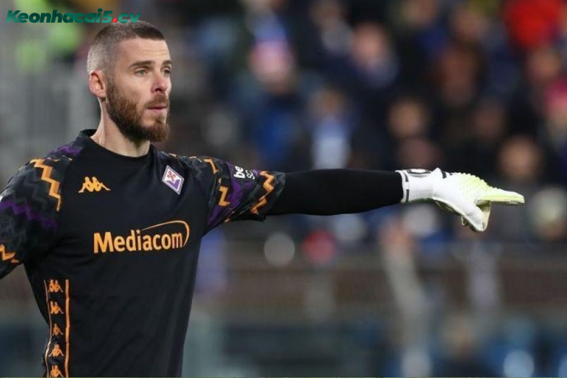 Đội hình dự kiến trước trận Fiorentina vs Udinese