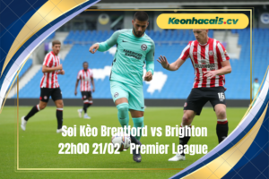 Đội hình dự kiến trước trận Brentford vs Brighton