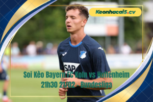 Đội hình dự kiến trước trận FC Koln vs Hoffenheim