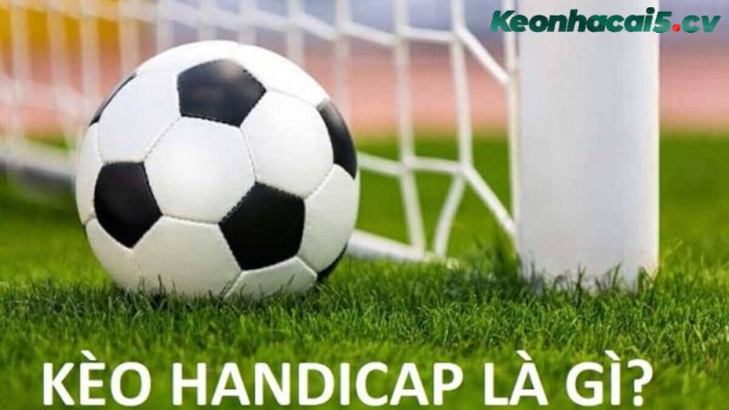 Kèo handicap là gì? Có những bí quyết nào giúp chơi kèo handicap hiệu quả? Kèo handicap là gì? Có những bí quyết nào giúp chơi kèo handicap hiệu quả?
