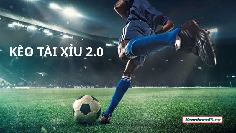 Luật chơi kèo Tài Xỉu 2 trái
